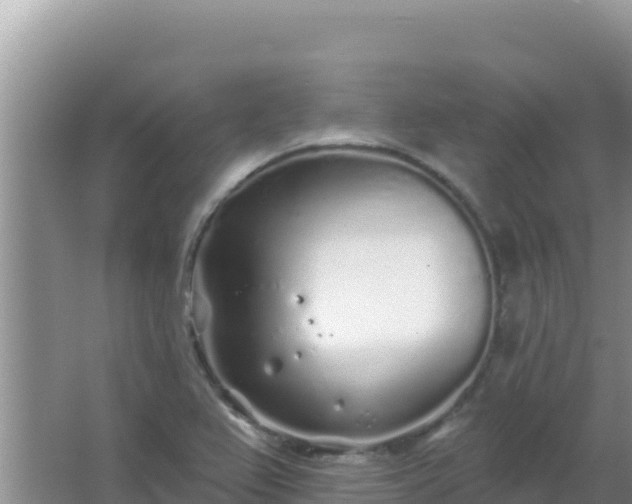 X0000067491367200604150031