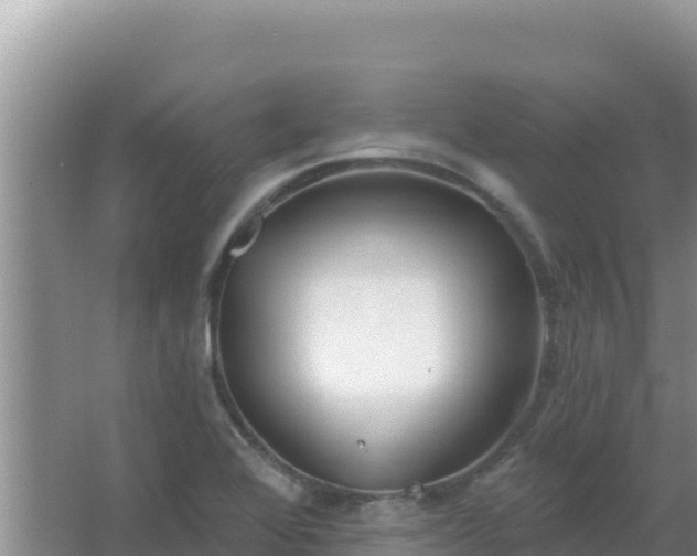 X0000067491368200604150031