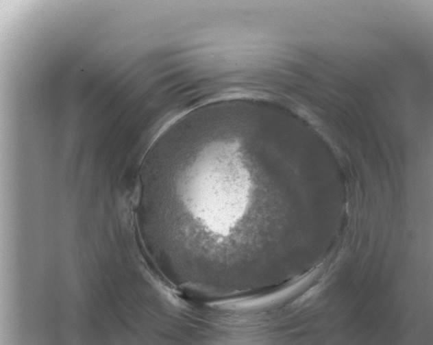 X0000067491369200604150031