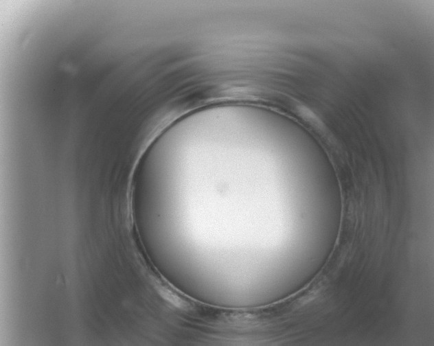 X0000067491370200604150031