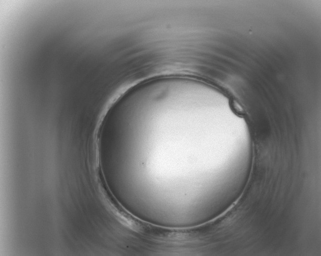 X0000067491371200604150031