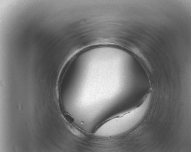 X0000067491372200604150031