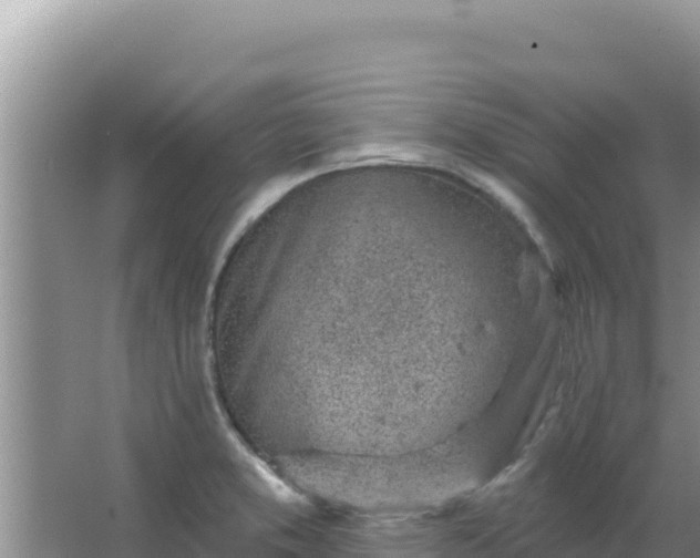 X0000067491373200604150031