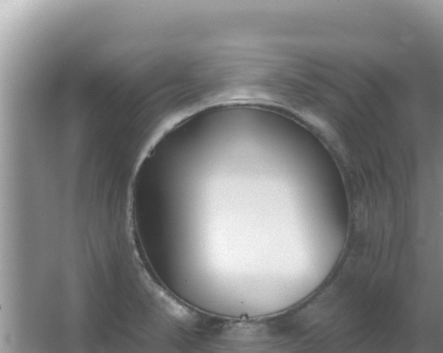 X0000067491374200604150031