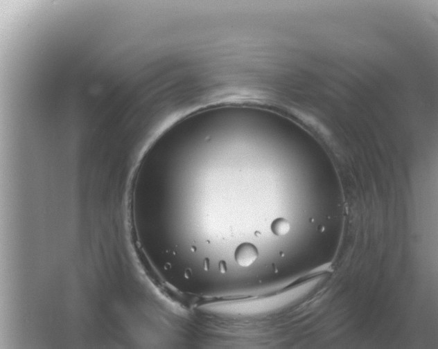 X0000067491375200604150031