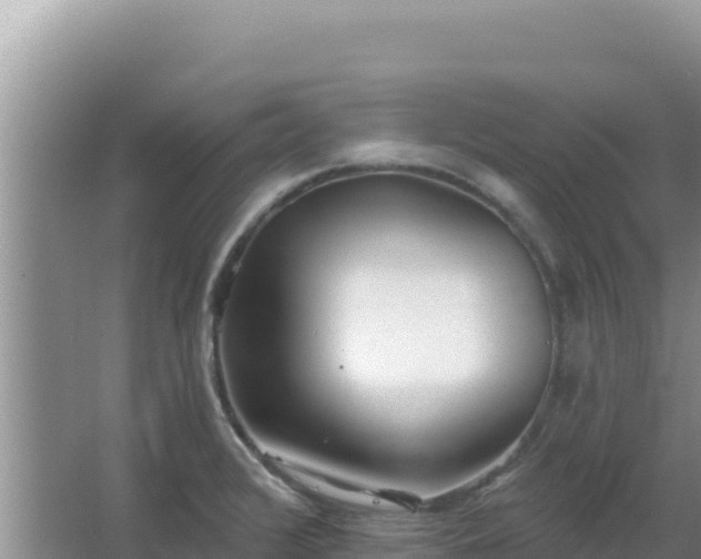 X0000067491376200604150031