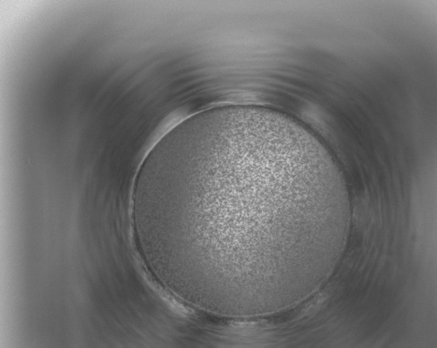 X0000067491378200604150031