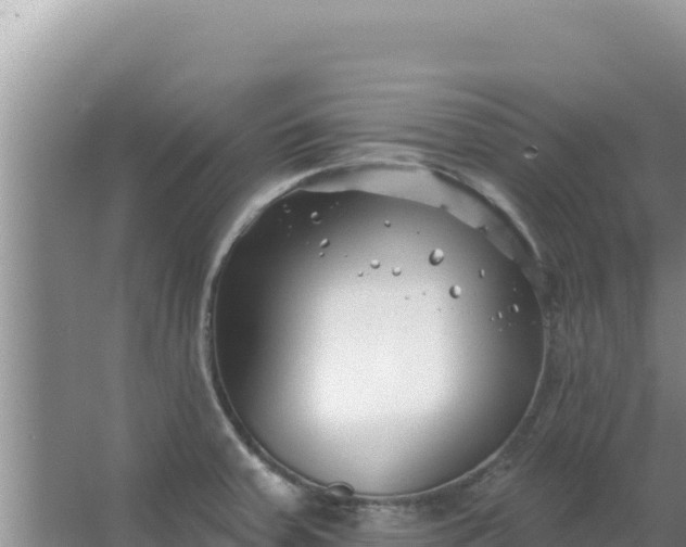 X0000067491379200604150031