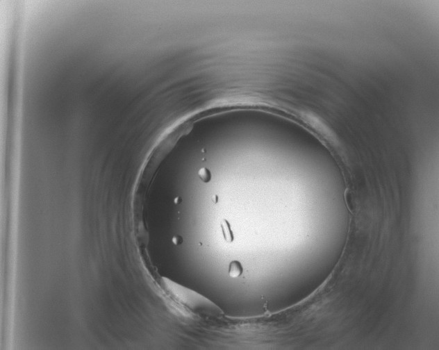 X0000067491380200604150031