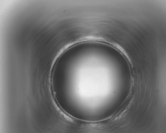 X0000067491381200604150031