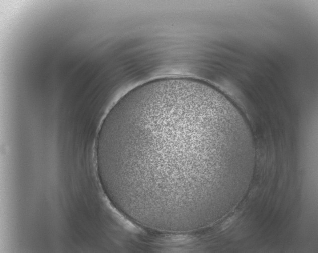 X0000067491382200604150031