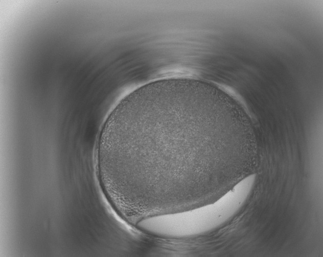 X0000067491383200604150031