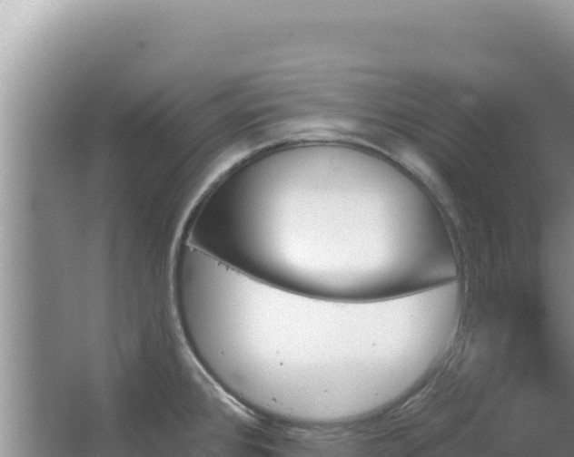 X0000067491384200604150031