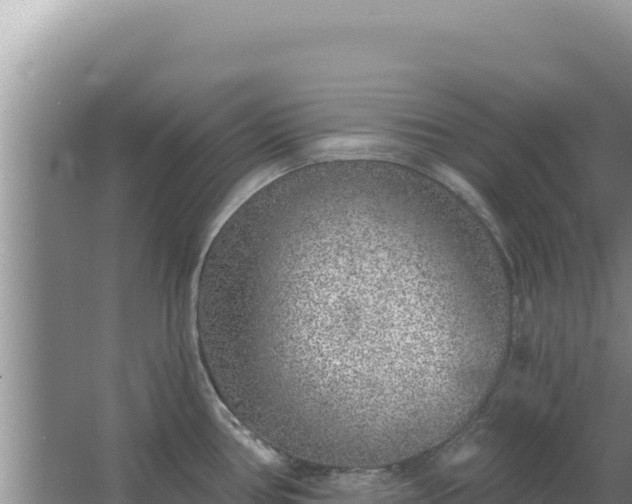 X0000067491386200604150030