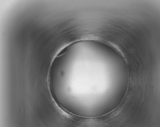 X0000067491387200604150030