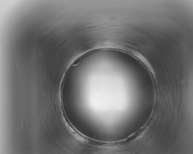 X0000067491388200604150030