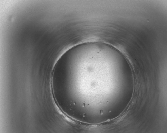 X0000067491390200604150030