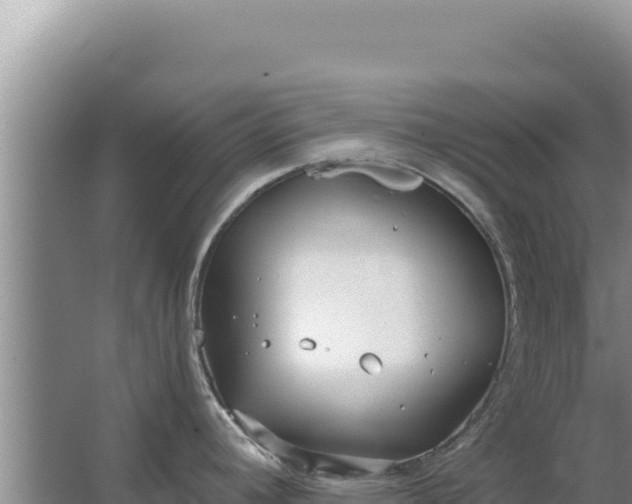 X0000067491392200604150030