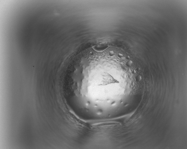 X0000067491393200604150030