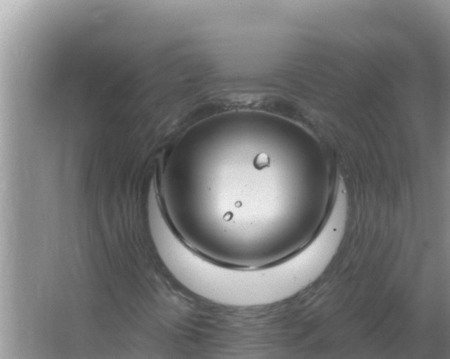 X0000067491394200604150030