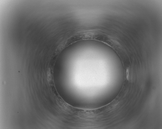 X0000067491395200604150030