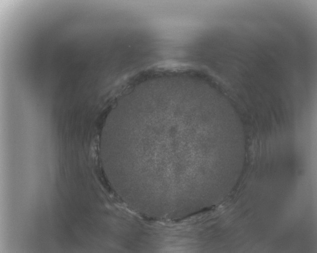 X0000067491397200604150030