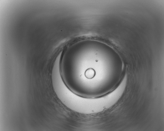 X0000067491398200604150030