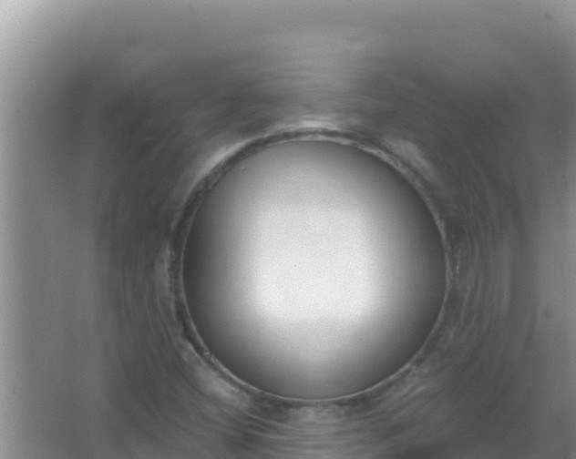 X0000067491404200604150030