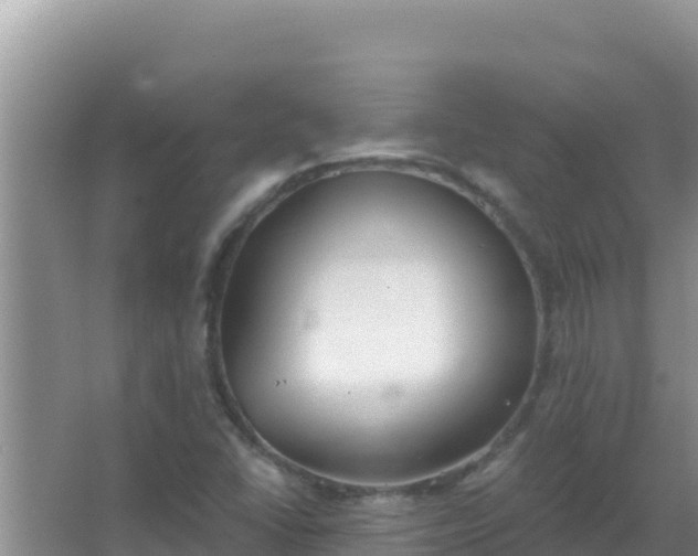 X0000067491406200604150030