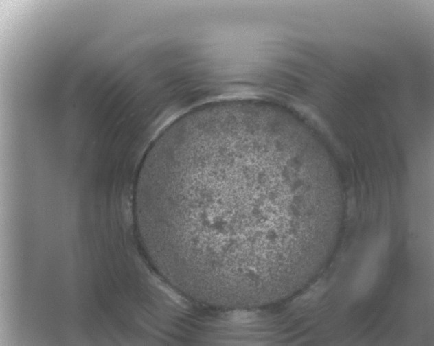 X0000067491409200604150030