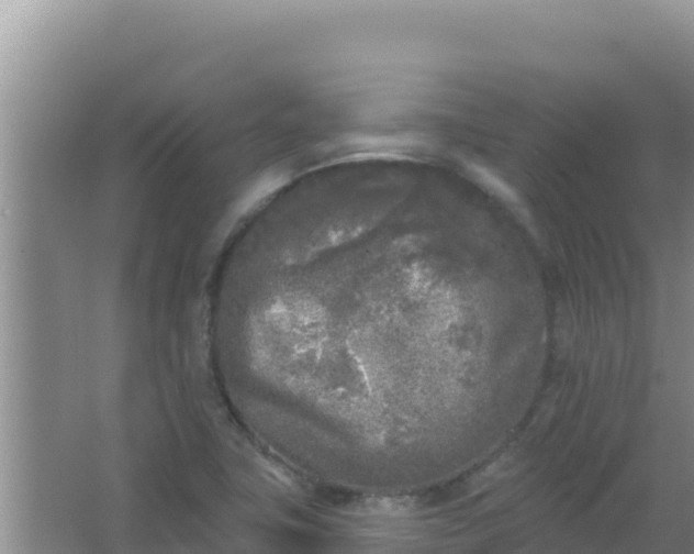 X0000067491411200604150030