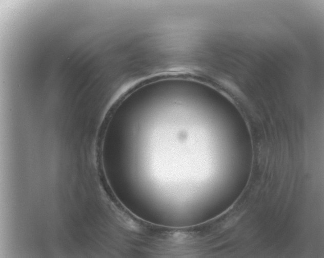 X0000067491412200604150030