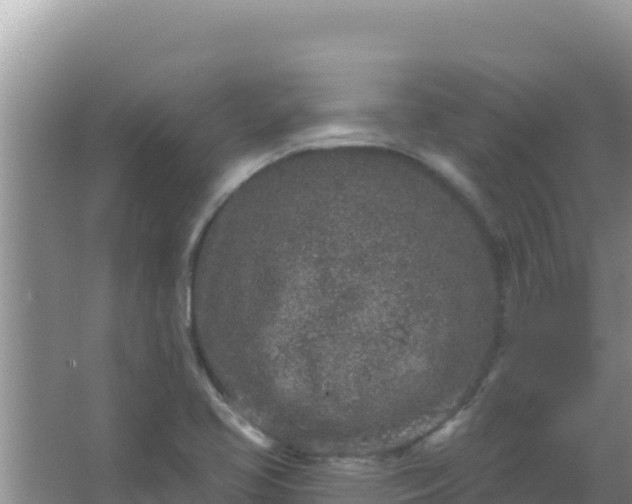 X0000067491413200604150030