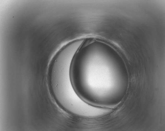 X0000067491414200604150030