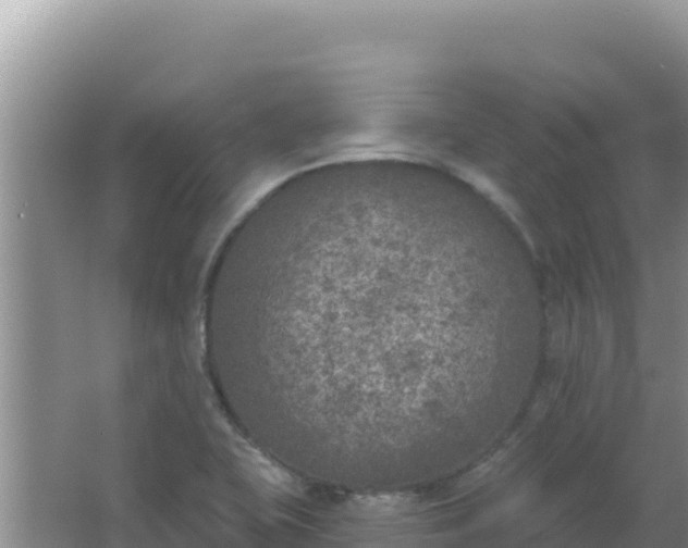 X0000067491415200604150030