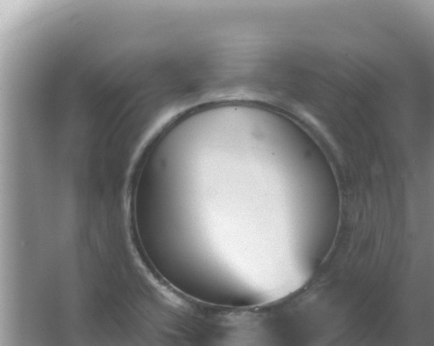 X0000067491416200604150030