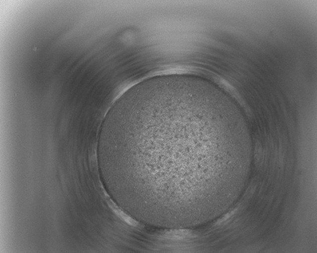 X0000067491417200604150030