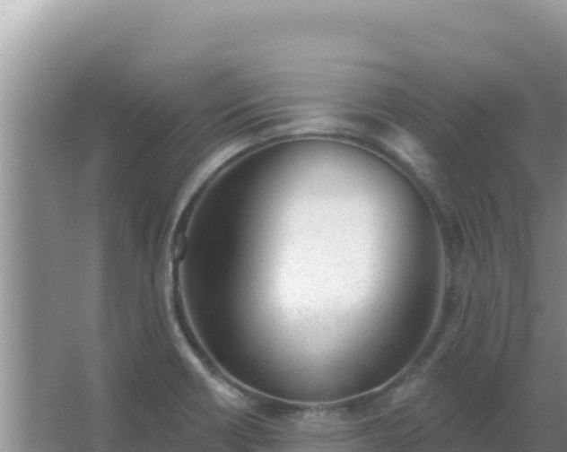 X0000067491418200604150030