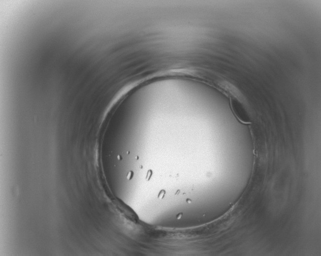 X0000067491420200604150030