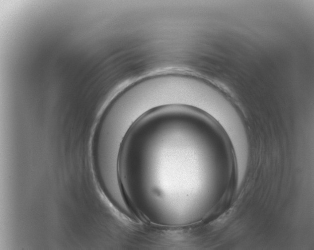 X0000067491422200604150030