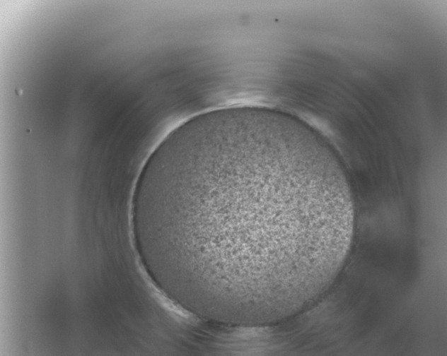 X0000067491423200604150030