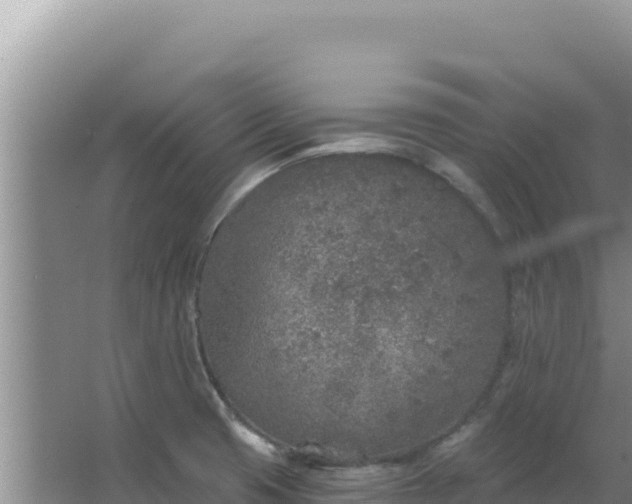 X0000067491425200604150030