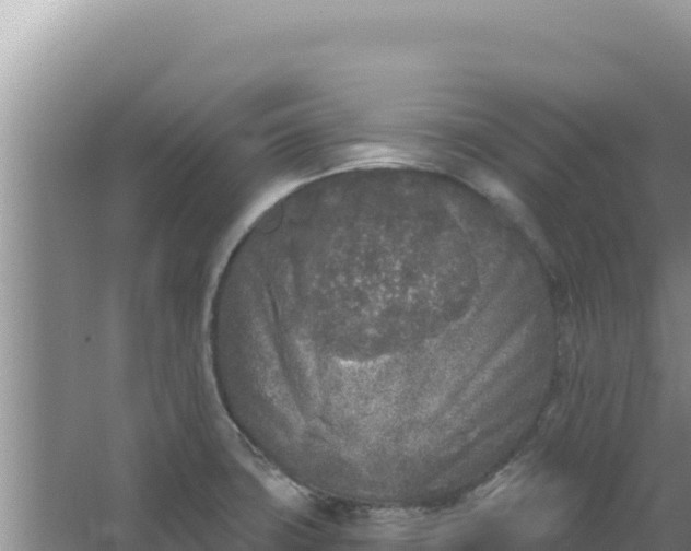 X0000067491427200604150030