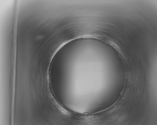 X0000067491428200604150030