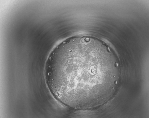 X0000067491429200604150030