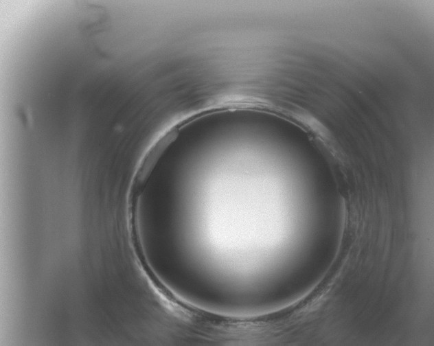 X0000067491430200604150030