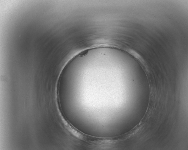 X0000067491431200604150030