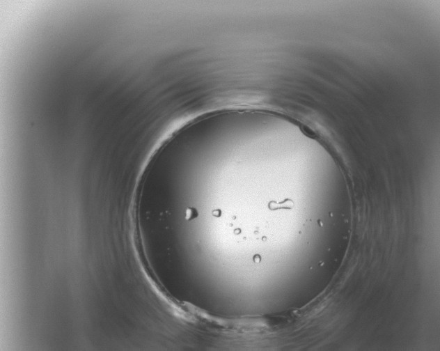 X0000067491432200604150030