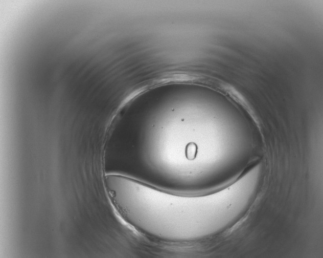 X0000067491433200604150030