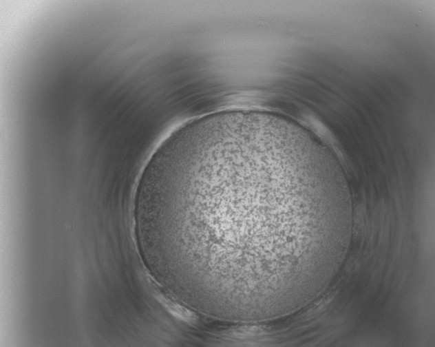 X0000067491435200604150030